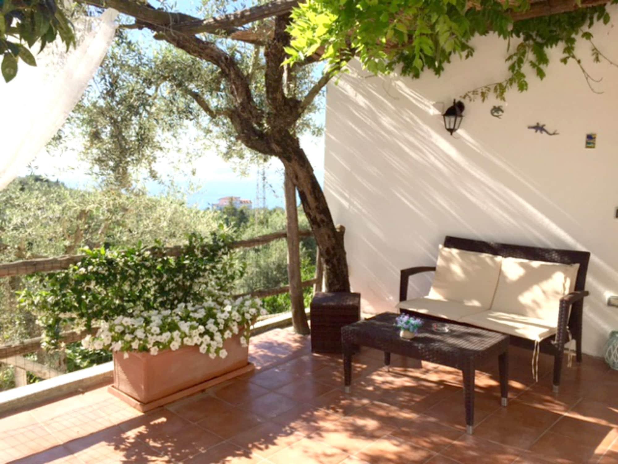Villa Carolina Sorrento Private Heated Pool And Sea View Exterior photo